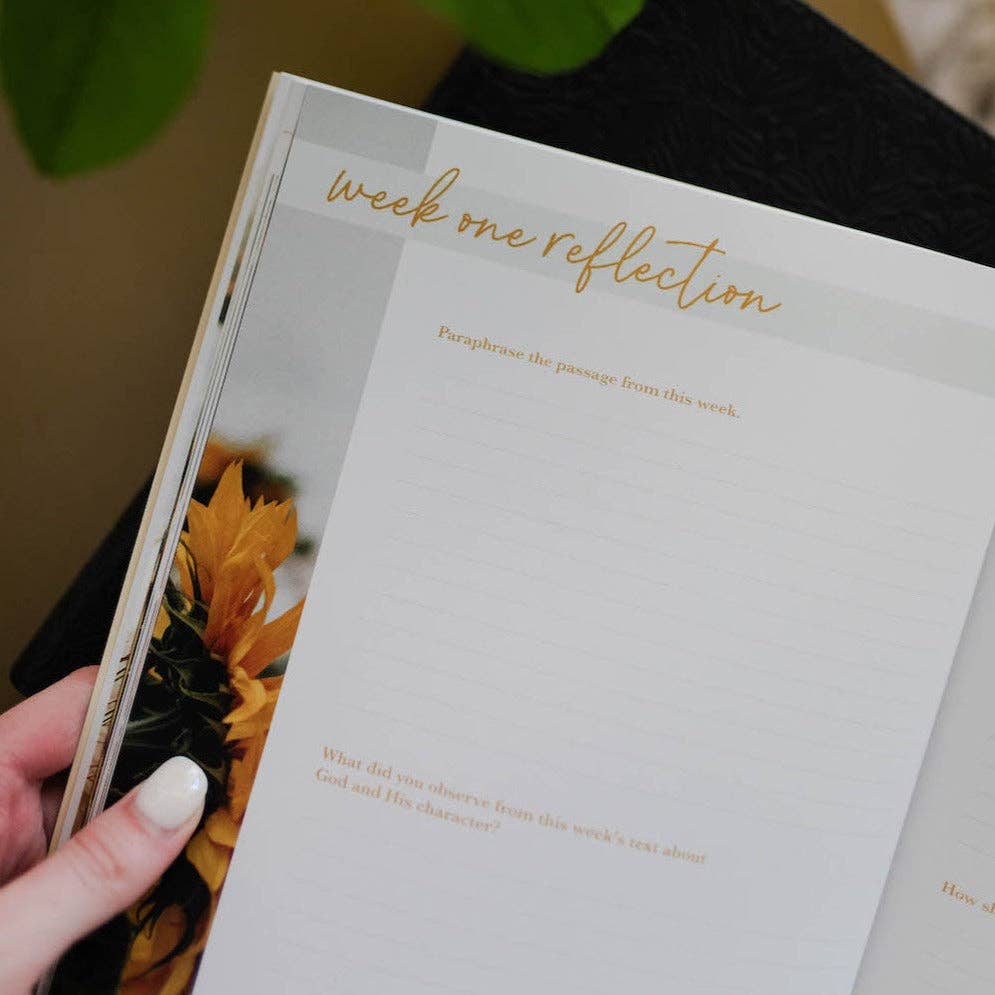 He Leads Me Bible Study - Three:Twelve Boutique - The Daily Grace Co