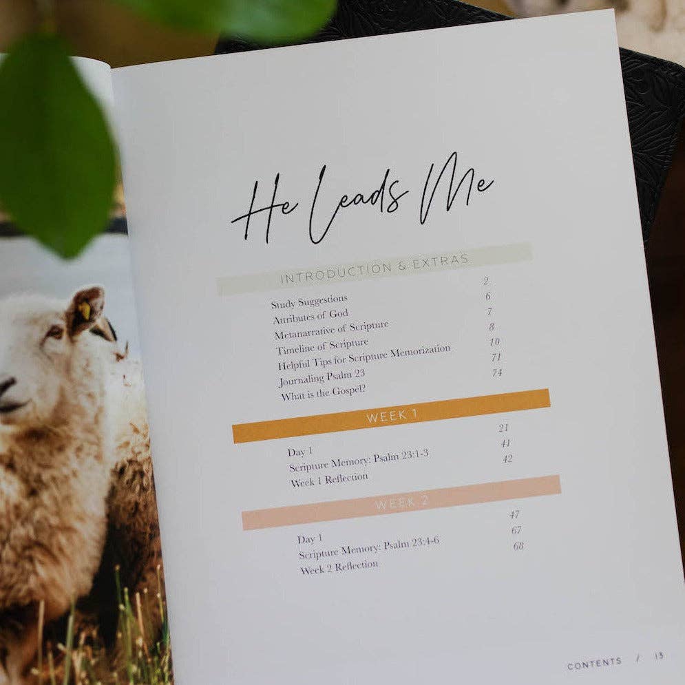 He Leads Me Bible Study - Three:Twelve Boutique - The Daily Grace Co