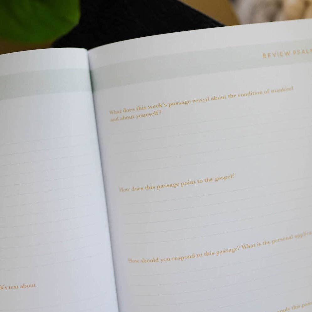 He Leads Me Bible Study - Three:Twelve Boutique - The Daily Grace Co