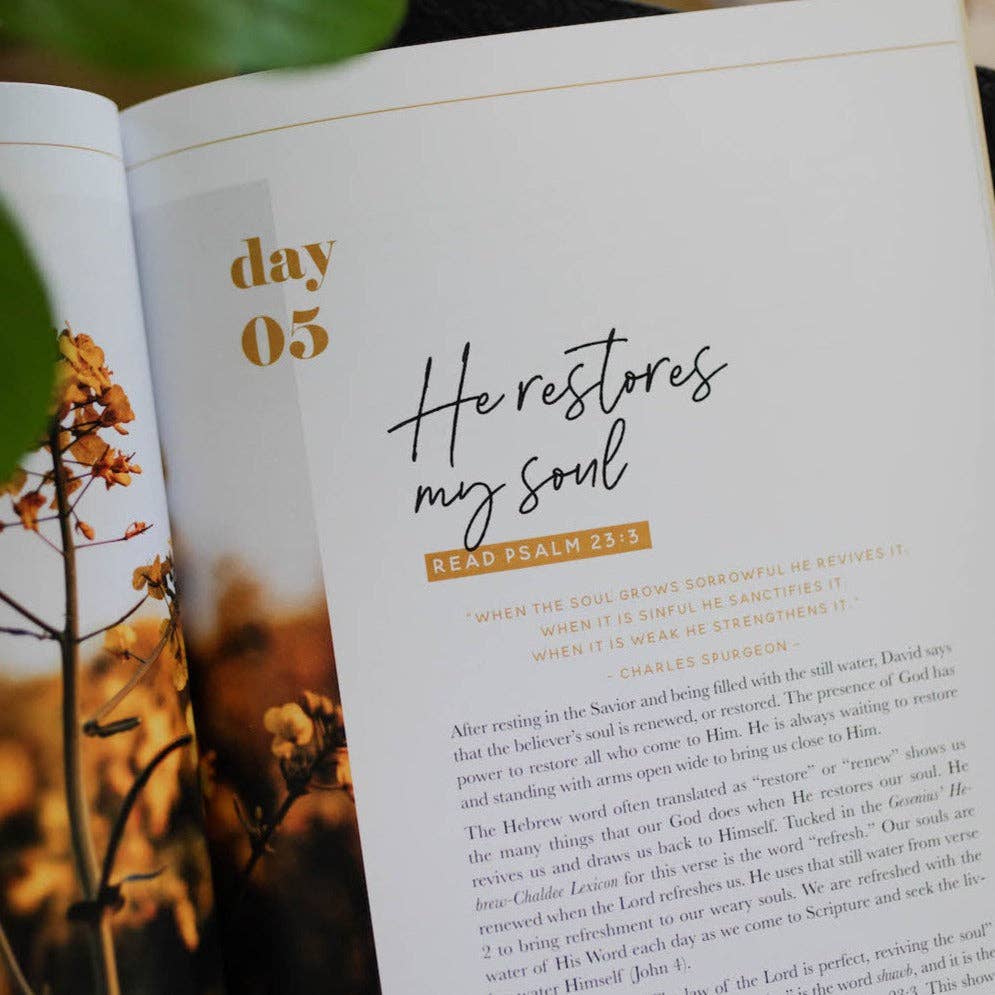 He Leads Me Bible Study - Three:Twelve Boutique - The Daily Grace Co