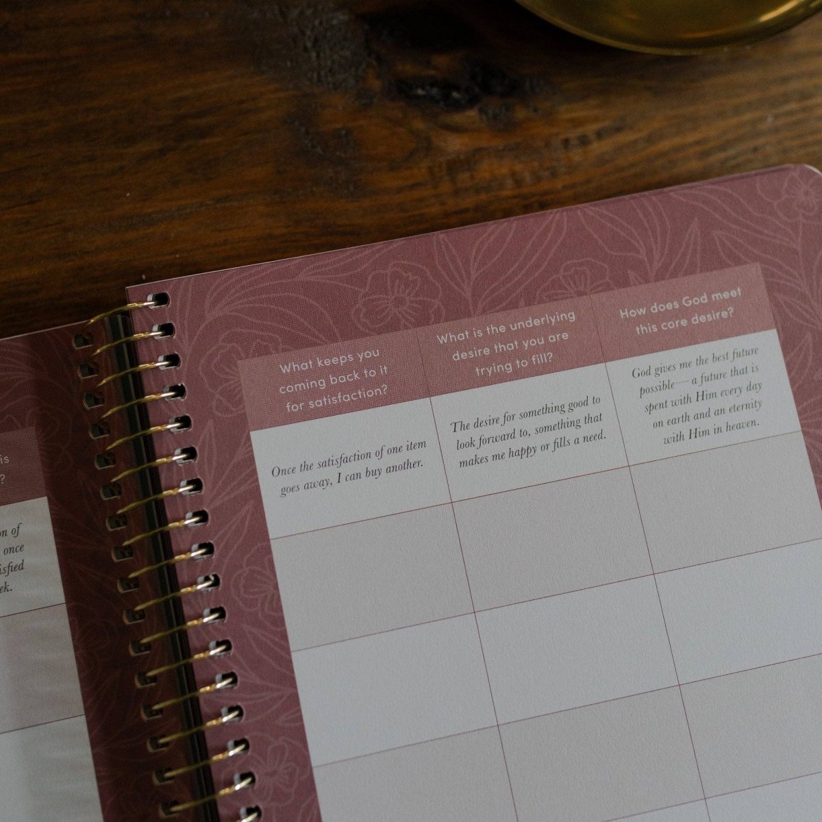 Is God Enough for Me? | Finding Real Contentment in Christ - Three:Twelve Boutique - The Daily Grace Co