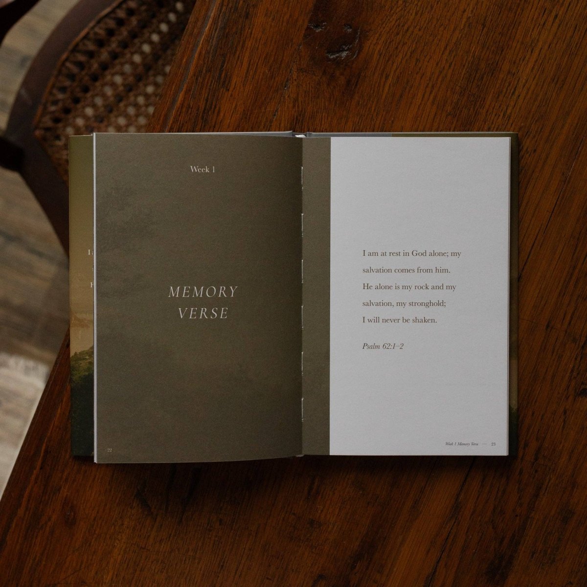 Made for Him Hardcover Bible Study - Three:Twelve Boutique - The Daily Grace Co