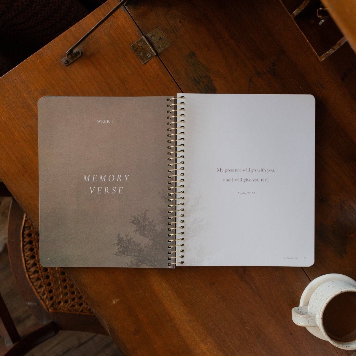 Made for Him Spiral Bible Study - Three:Twelve Boutique - The Daily Grace Co