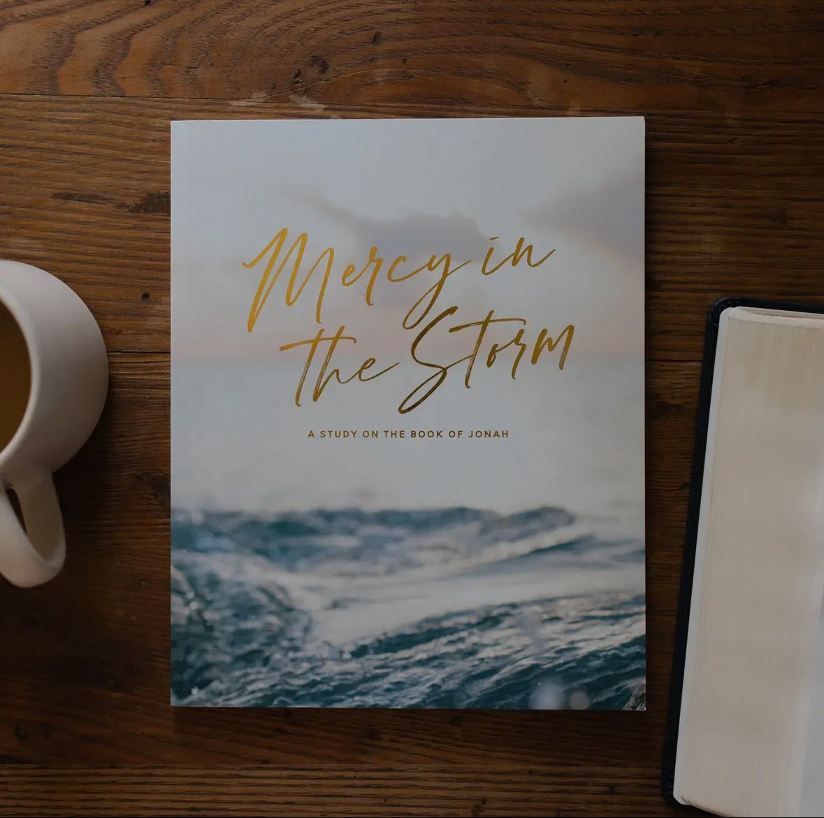 Mercy in the Storm | A Bible Study On the Book of Jonah - Three:Twelve Boutique - Three:Twelve