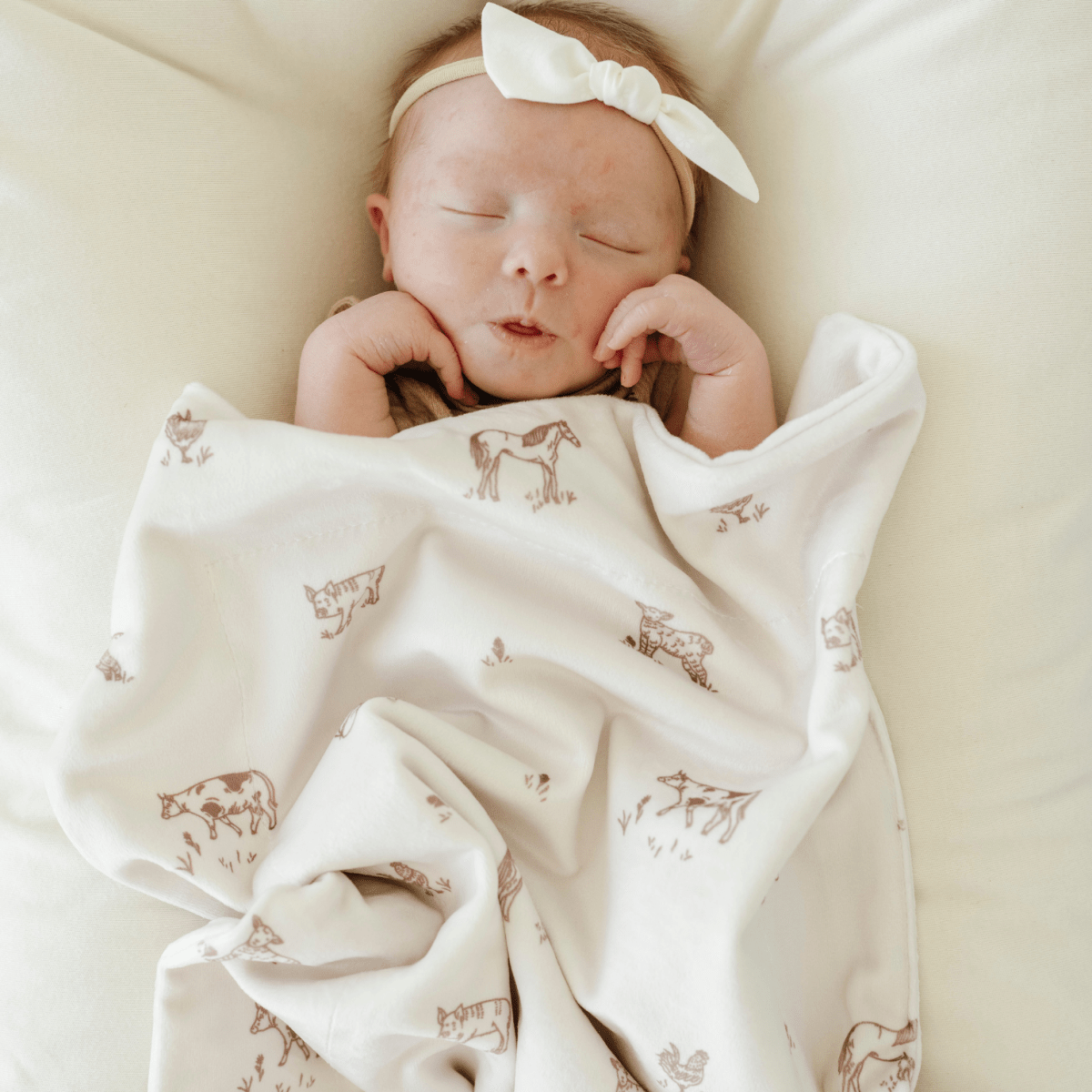 MINKY STRETCH MINI BLANKETS: Secret Garden - Three:Twelve Boutique - Saranoni