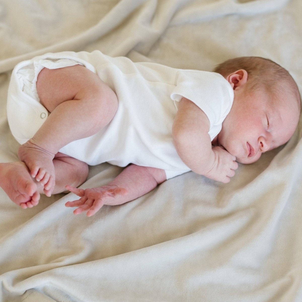 MINKY STRETCH RECEIVING BLANKETS: Florals - Three:Twelve Boutique - Saranoni