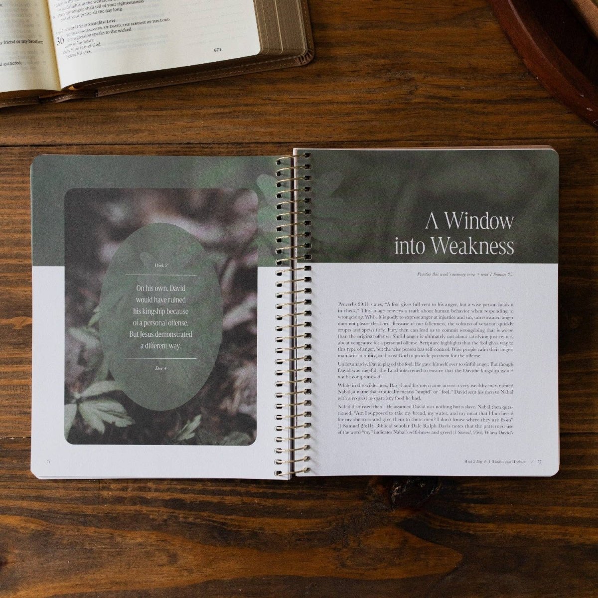 Peaks and Valleys Bible Study - Three:Twelve Boutique - The Daily Grace Co