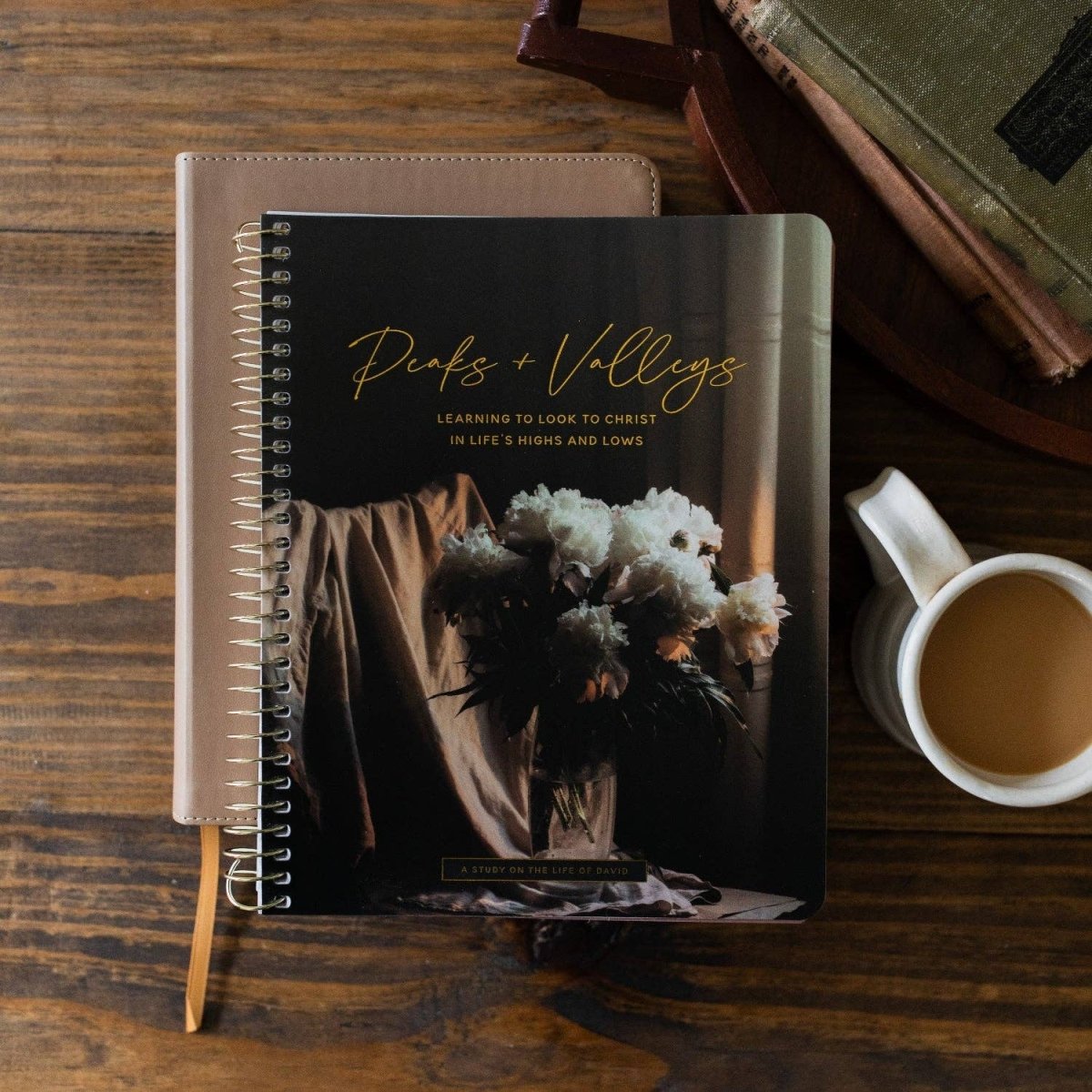 Peaks and Valleys Bible Study - Three:Twelve Boutique - The Daily Grace Co