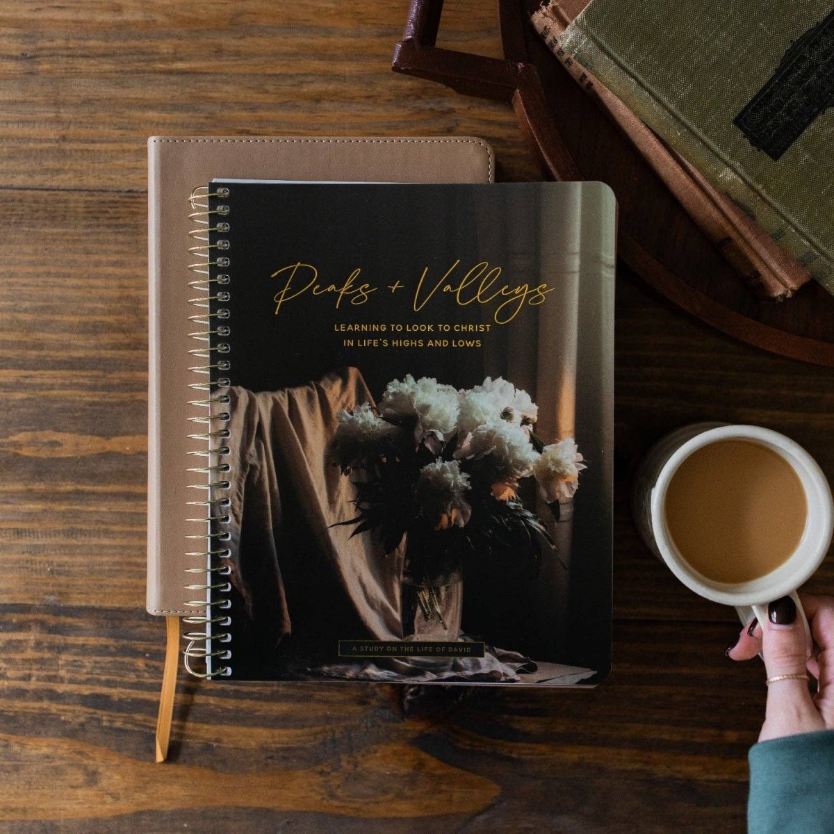 Peaks and Valleys Bible Study - Three:Twelve Boutique - The Daily Grace Co