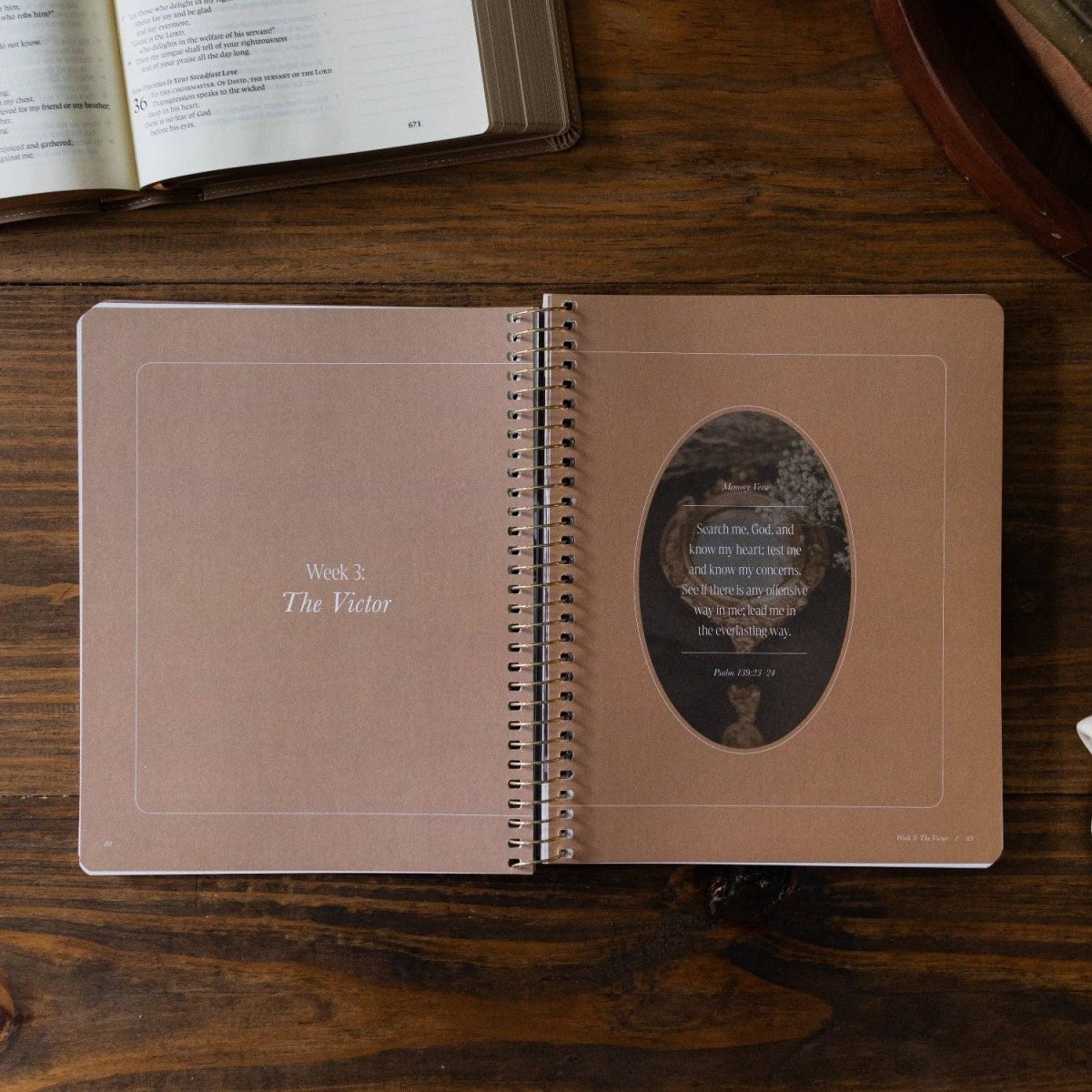 Peaks and Valleys Bible Study - Three:Twelve Boutique - The Daily Grace Co