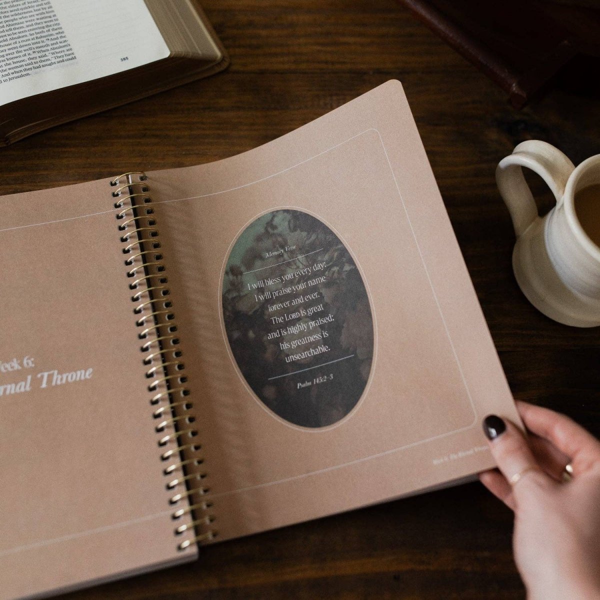 Peaks and Valleys Bible Study - Three:Twelve Boutique - The Daily Grace Co