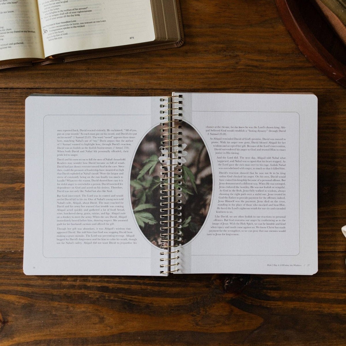 Peaks and Valleys Bible Study - Three:Twelve Boutique - The Daily Grace Co