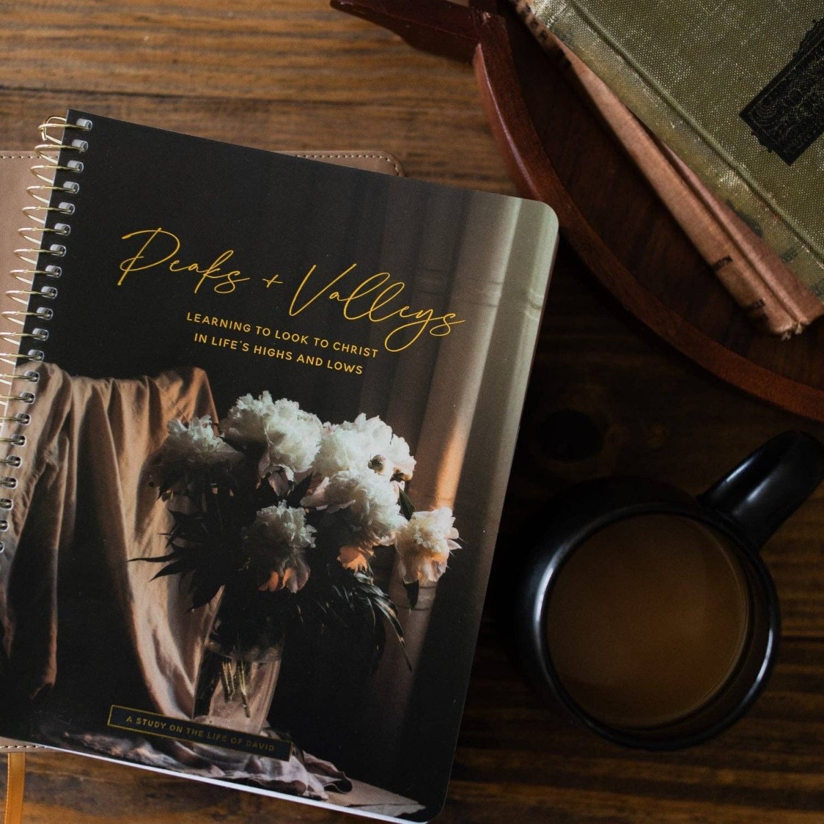 Peaks and Valleys Bible Study - Three:Twelve Boutique - The Daily Grace Co