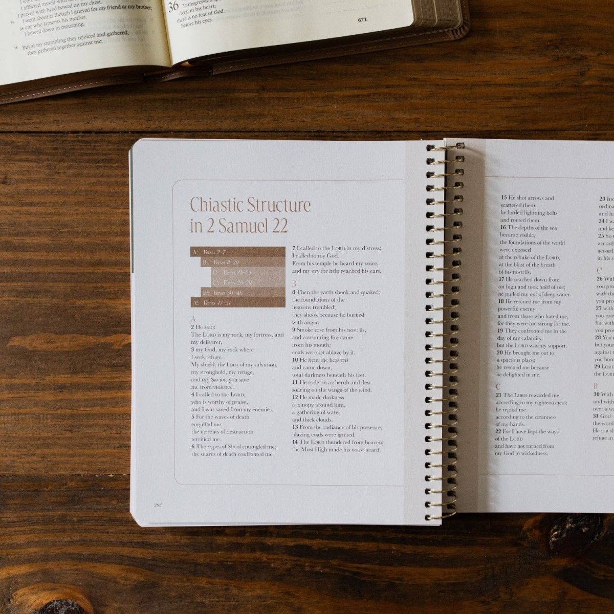 Peaks and Valleys Bible Study - Three:Twelve Boutique - The Daily Grace Co