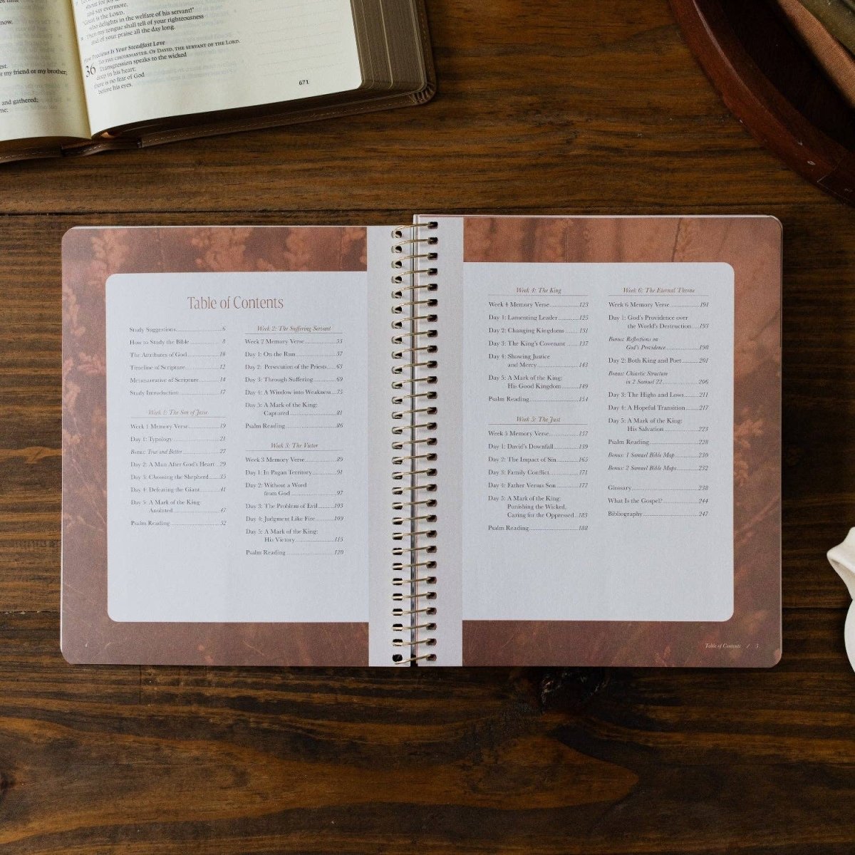 Peaks and Valleys Bible Study - Three:Twelve Boutique - The Daily Grace Co