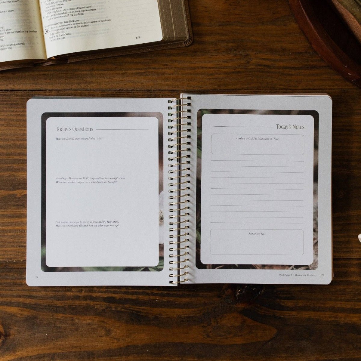 Peaks and Valleys Bible Study - Three:Twelve Boutique - The Daily Grace Co