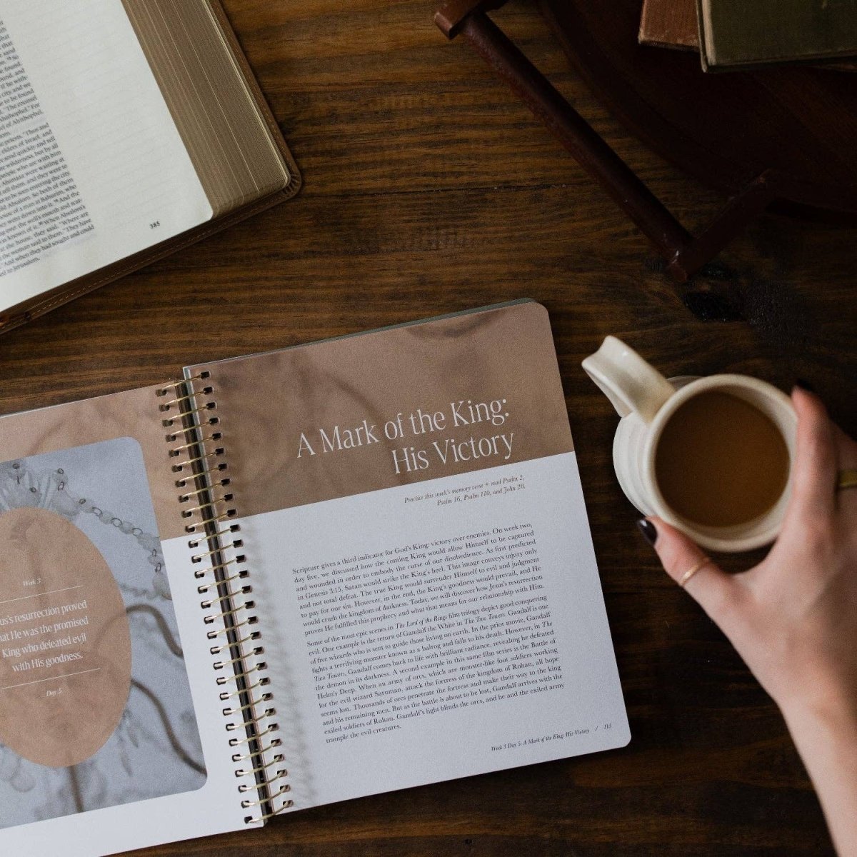 Peaks and Valleys Bible Study - Three:Twelve Boutique - The Daily Grace Co