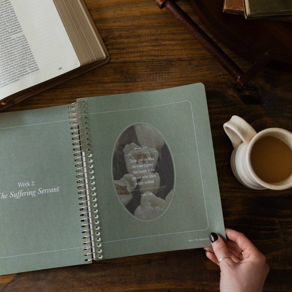 Peaks and Valleys Bible Study - Three:Twelve Boutique - The Daily Grace Co