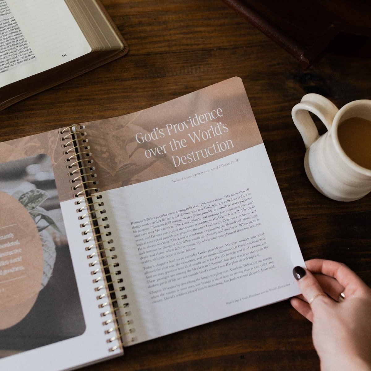 Peaks and Valleys Bible Study - Three:Twelve Boutique - The Daily Grace Co