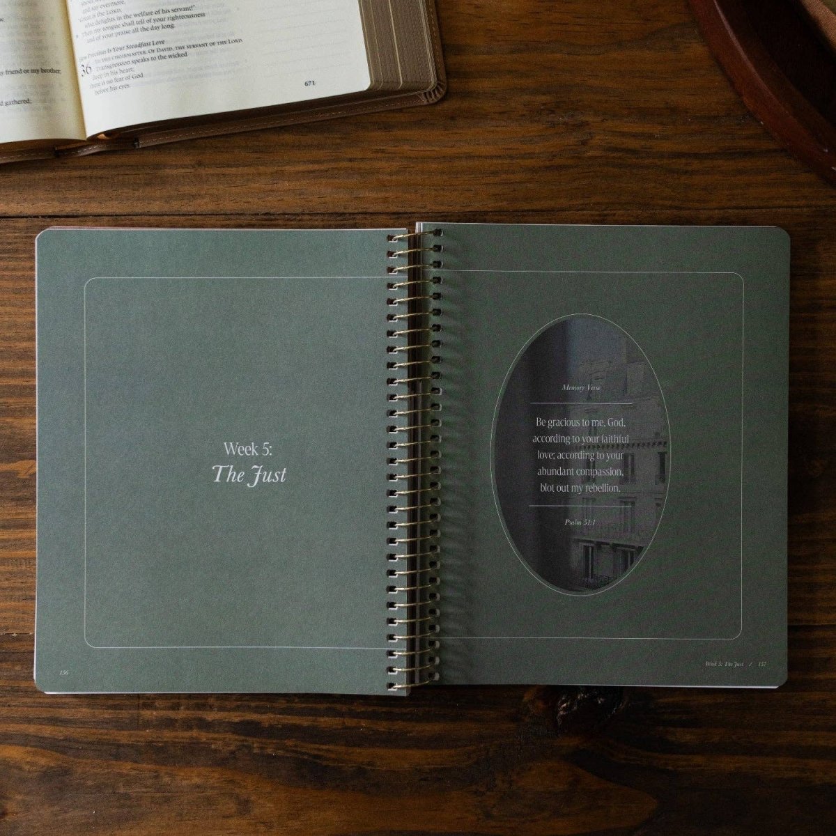 Peaks and Valleys Bible Study - Three:Twelve Boutique - The Daily Grace Co