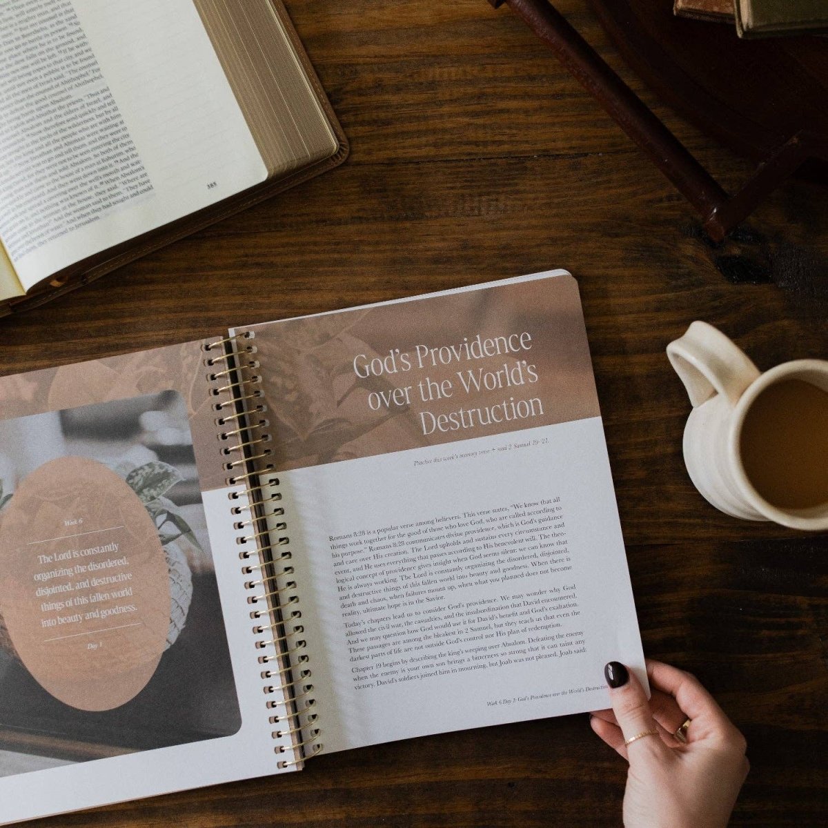 Peaks and Valleys Bible Study - Three:Twelve Boutique - The Daily Grace Co