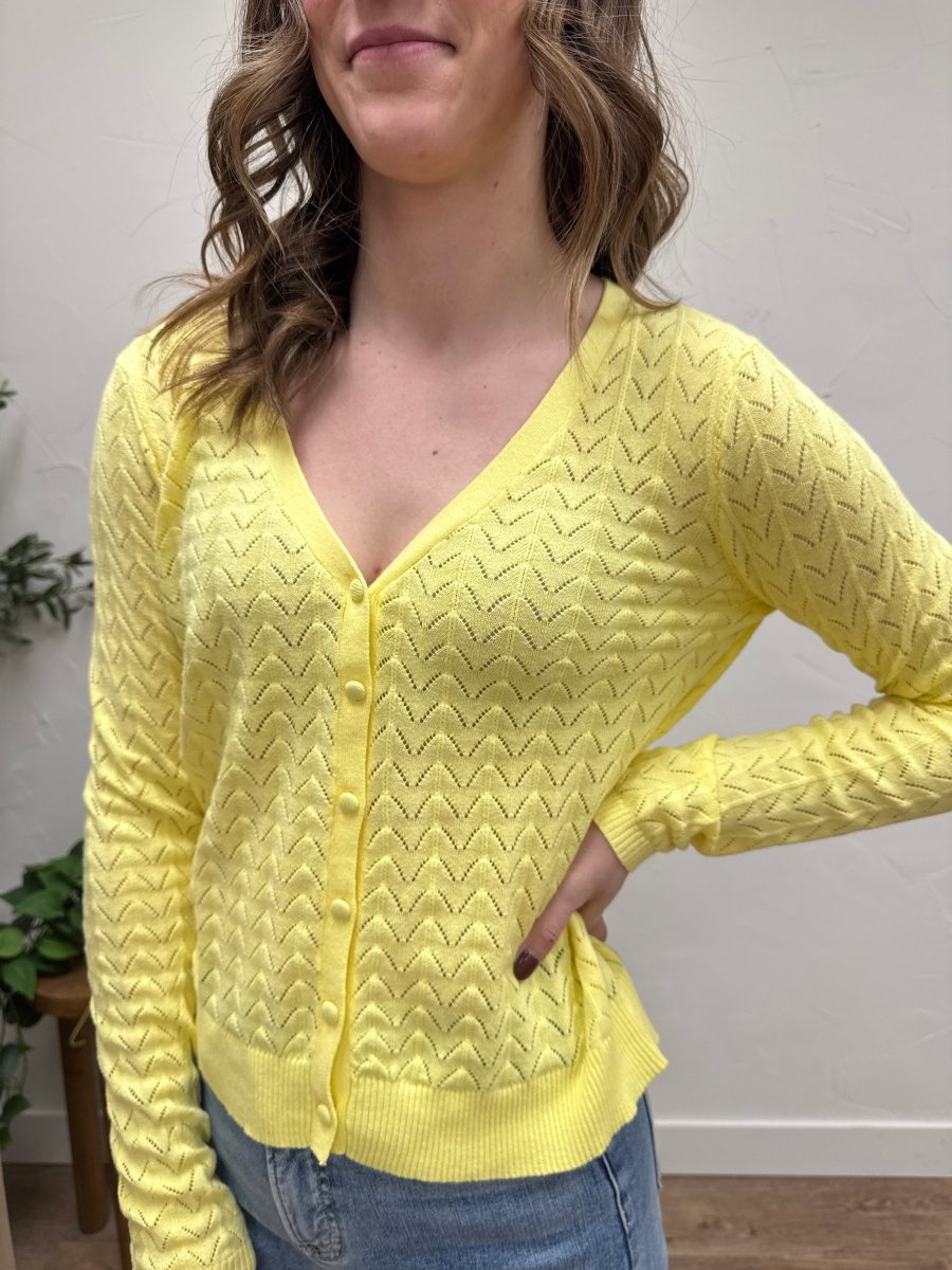 Pointelle Detailed V neck Button Down Sweater - Three:Twelve Boutique - Staccato