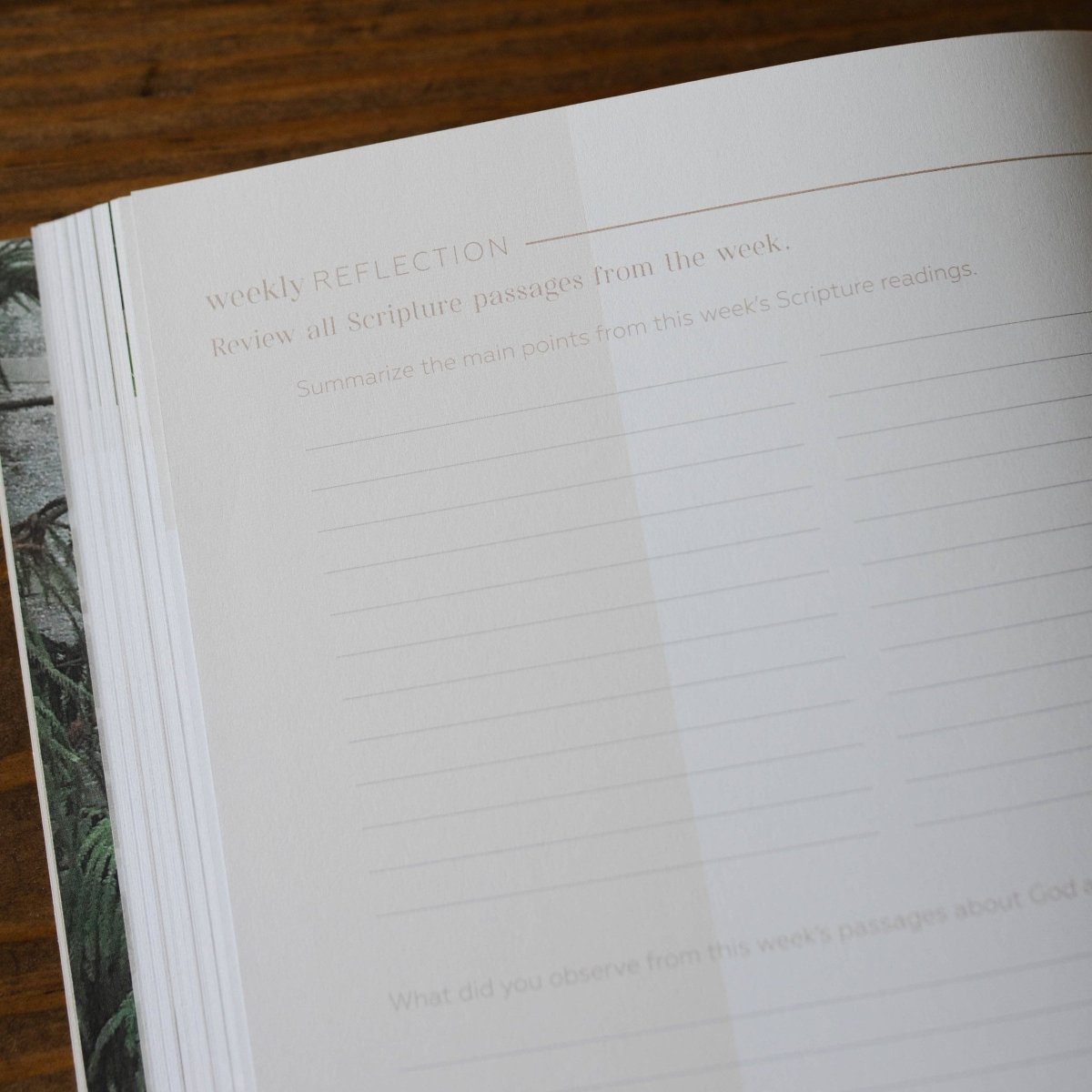 Pray | Cultivating a Passionate Practice of Prayer - Three:Twelve Boutique - The Daily Grace Co