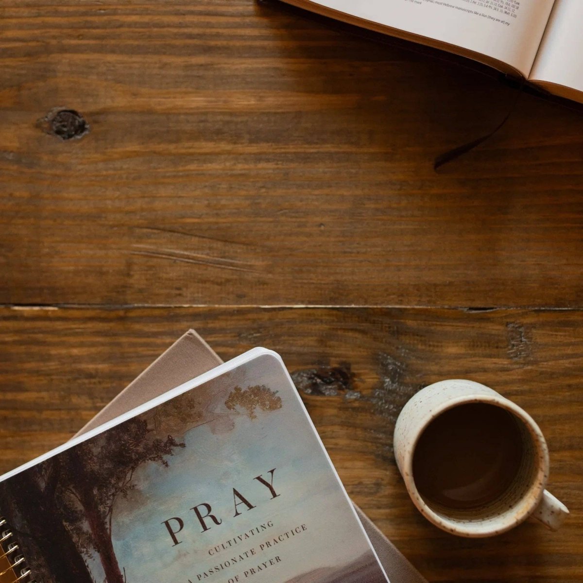 Pray Spiral Bible Study - Three:Twelve Boutique - The Daily Grace Co