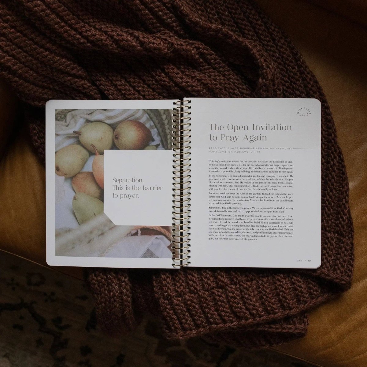 Pray Spiral Bible Study - Three:Twelve Boutique - The Daily Grace Co