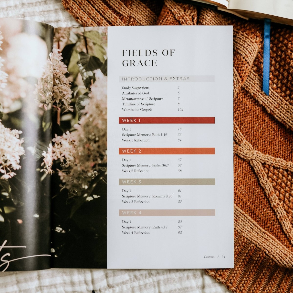Ruth Bible Study - Three:Twelve Boutique - The Daily Grace Co