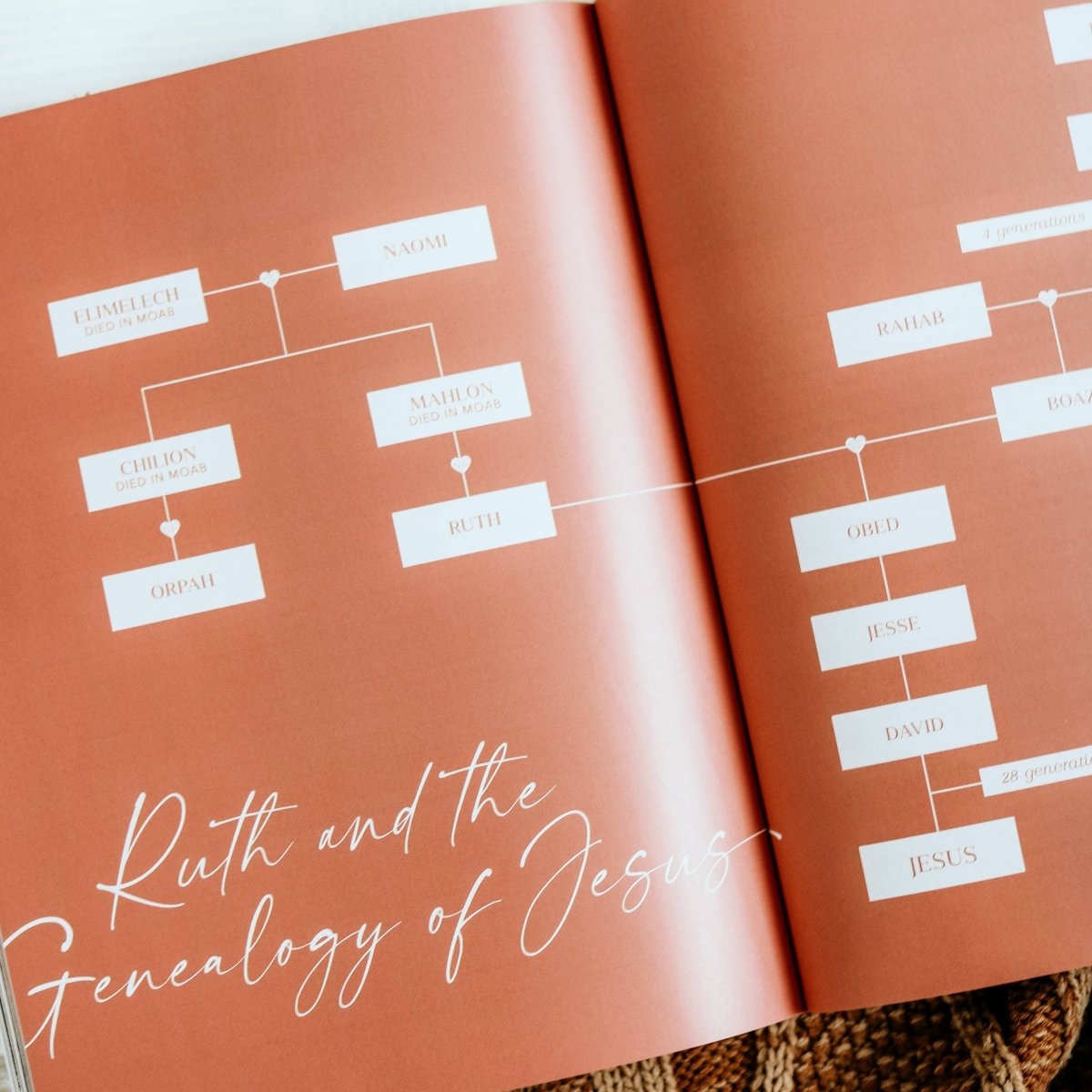 Ruth Bible Study - Three:Twelve Boutique - The Daily Grace Co