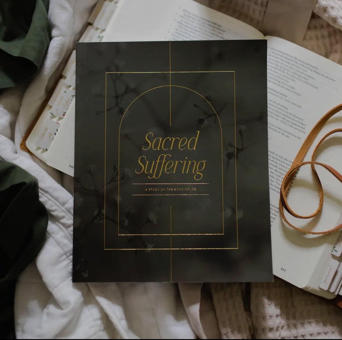 Sacred Suffering | A Study On the Book of Job - Three:Twelve Boutique - Three:Twelve
