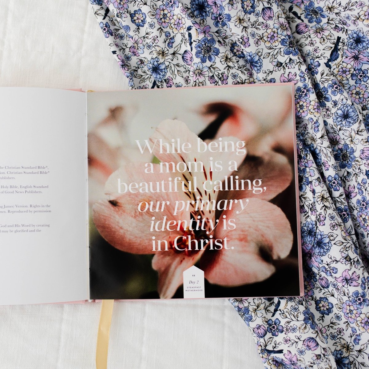 Steadfast Motherhood Devotional | Coffee Table Book - Three:Twelve Boutique - The Daily Grace Co