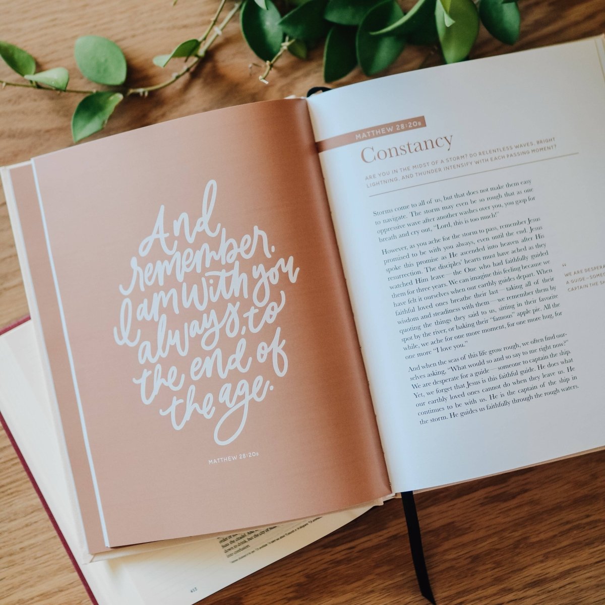 The Promises of God | Coffee Table Book - Three:Twelve Boutique - The Daily Grace Co