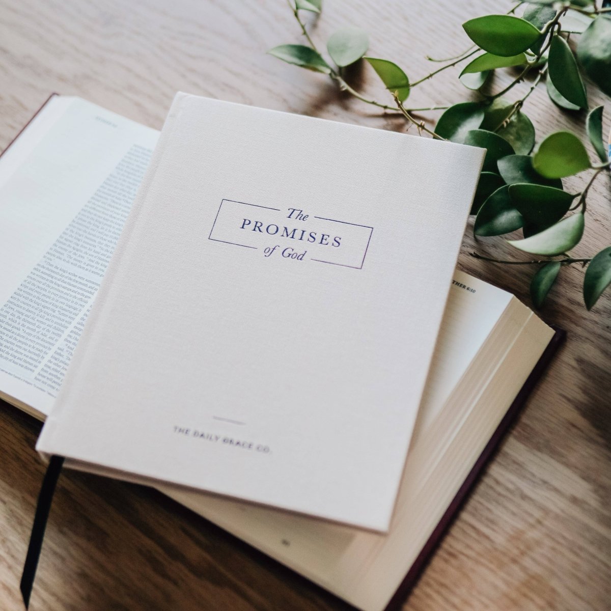 The Promises of God | Coffee Table Book - Three:Twelve Boutique - The Daily Grace Co