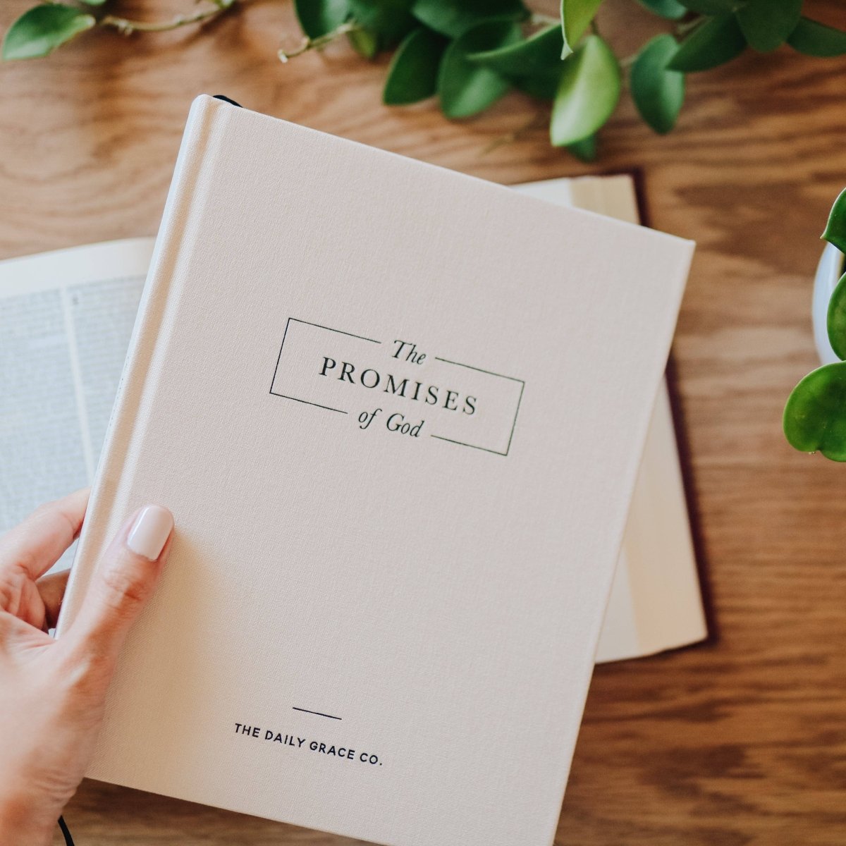The Promises of God | Coffee Table Book - Three:Twelve Boutique - The Daily Grace Co
