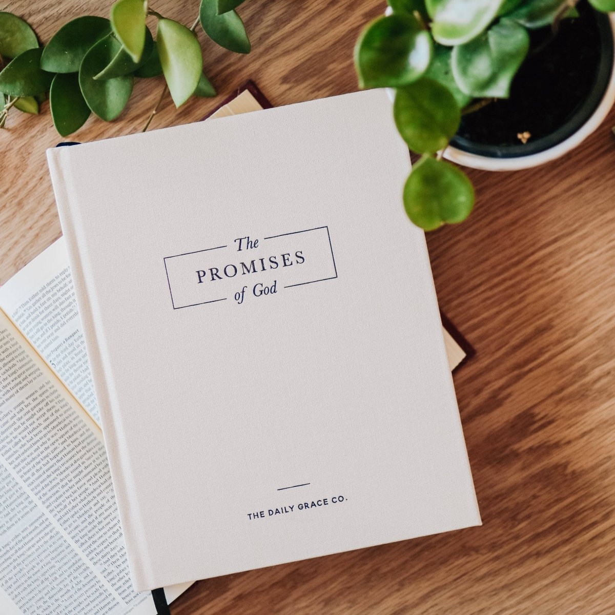 The Promises of God | Coffee Table Book - Three:Twelve Boutique - The Daily Grace Co