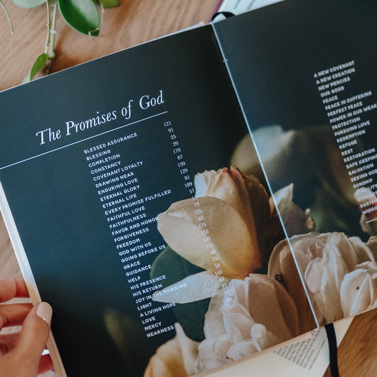 The Promises of God | Coffee Table Book - Three:Twelve Boutique - The Daily Grace Co