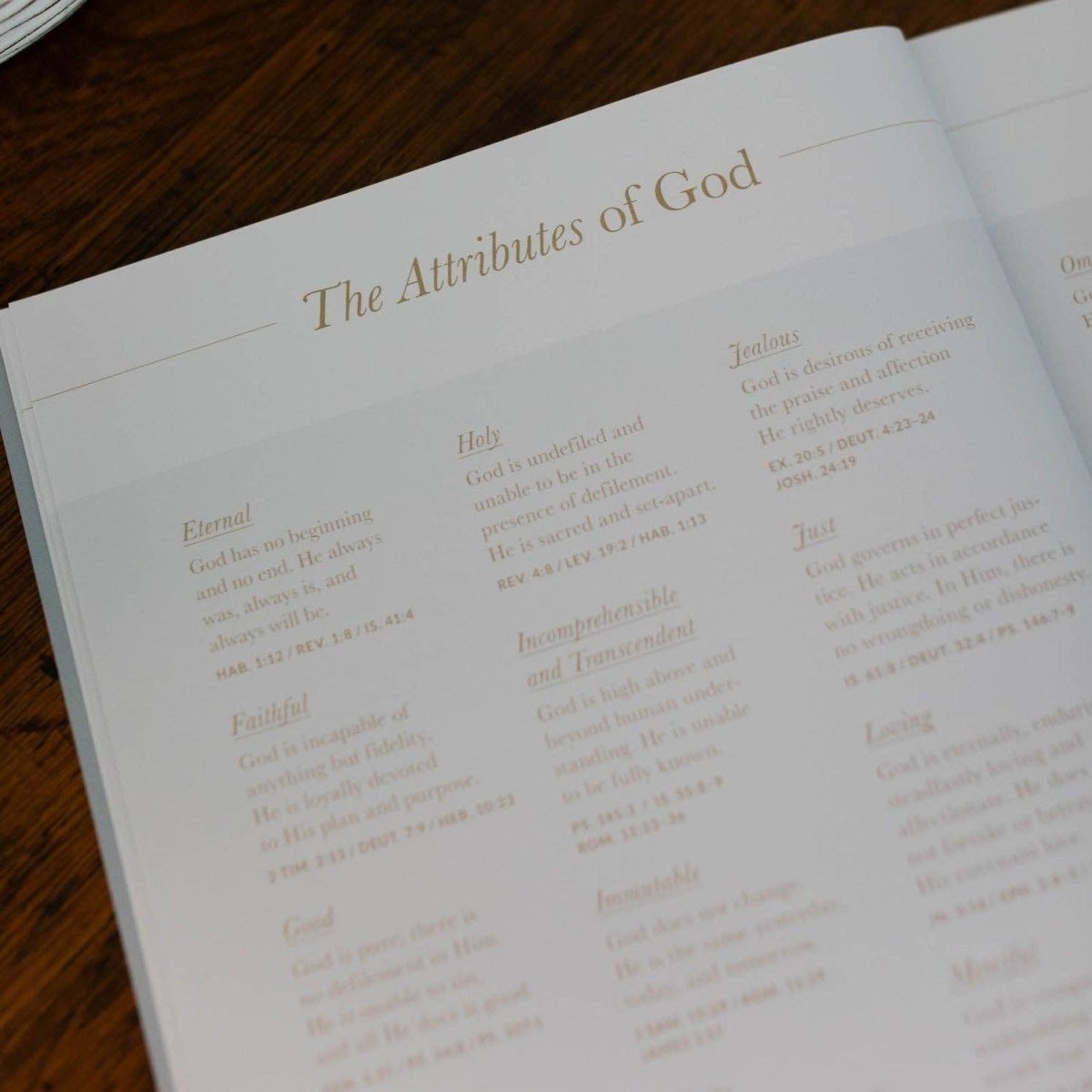 Wait | Psalms 31 - 60 Bible Study - Three:Twelve Boutique - The Daily Grace Co