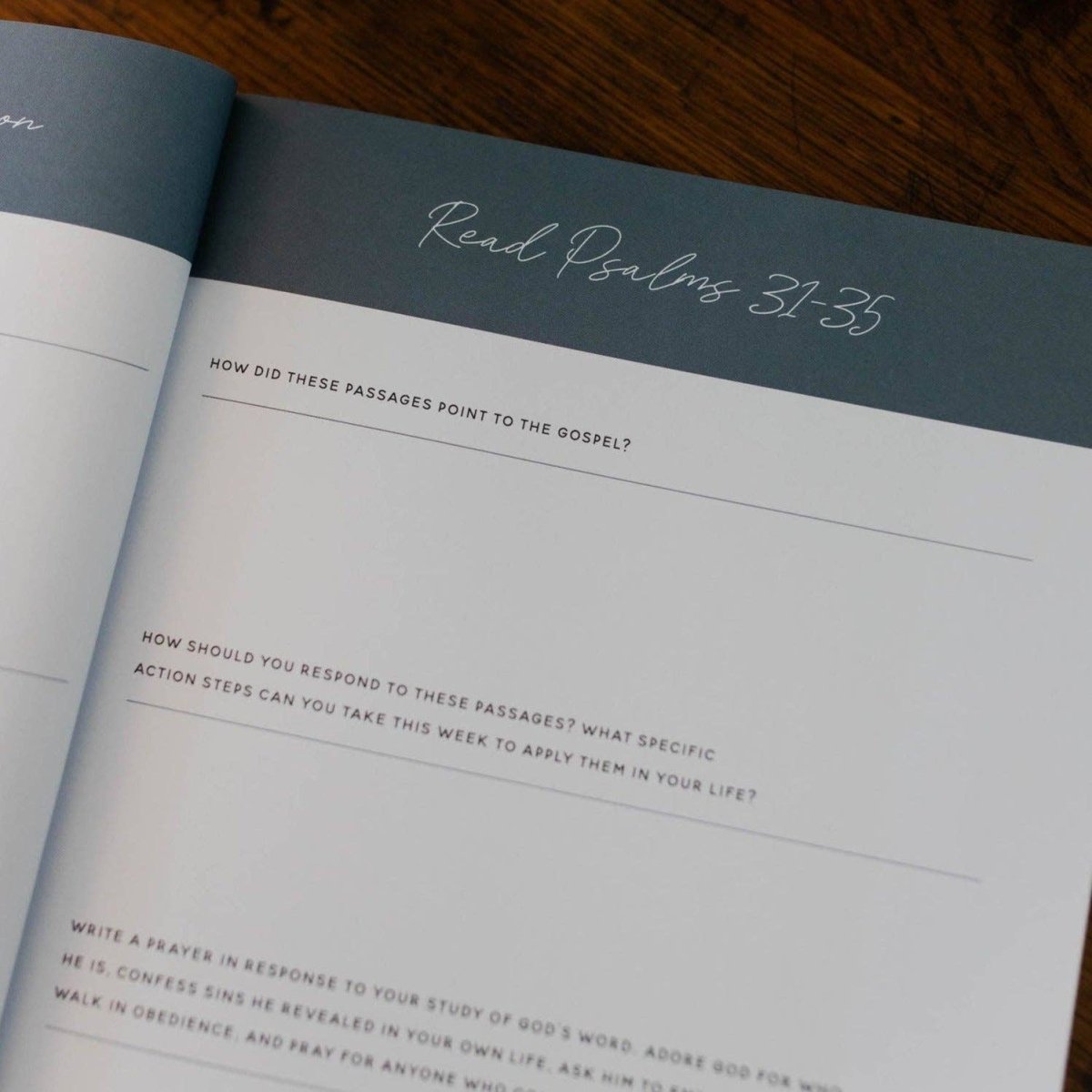 Wait | Psalms 31 - 60 Bible Study - Three:Twelve Boutique - The Daily Grace Co